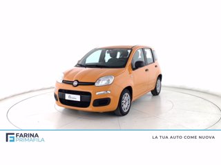 FIAT PANDA HYBRID FIREFLY 70CV