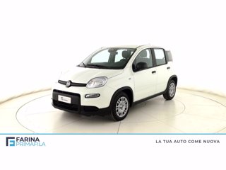 FIAT Panda 1.0 firefly hybrid s&s 70cv