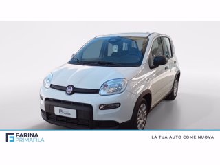 FIAT Panda 1.0 firefly hybrid s&s 70cv