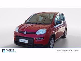 FIAT Panda 1.0 firefly hybrid s&s 70cv