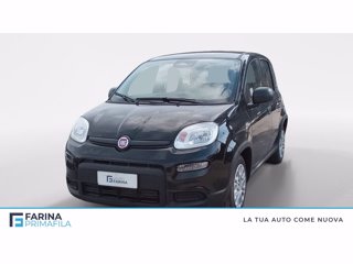 FIAT Panda 1.0 firefly hybrid s&s 70cv