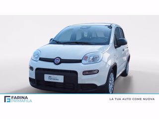 FIAT Panda 1.0 firefly hybrid s&s 70cv