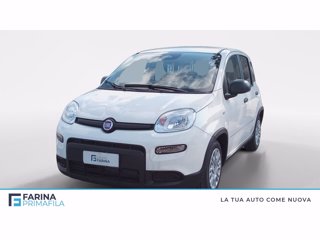 FIAT Panda 1.0 firefly hybrid s&s 70cv 5p.ti