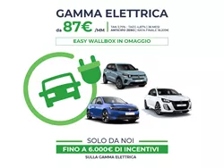 Gamma Elettrica in promozione